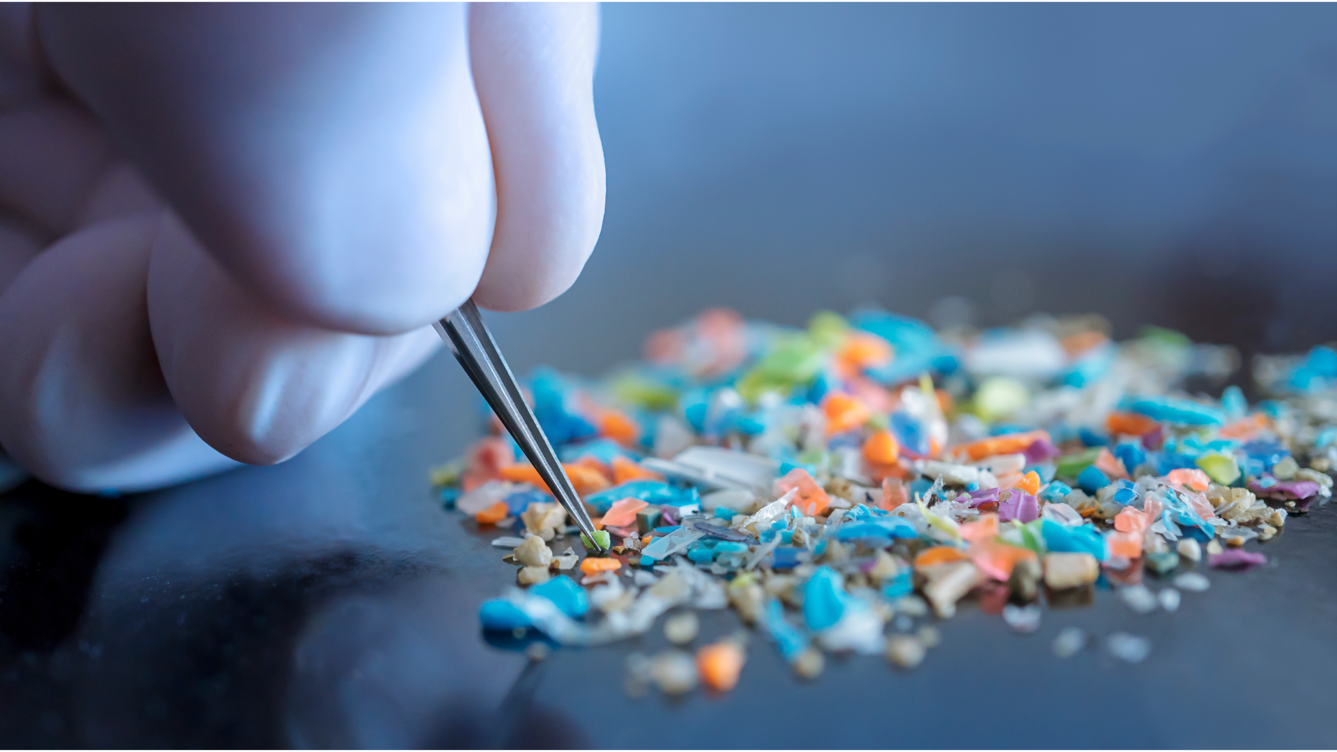 マイクロプラスチック問題とは？最新研究が暴く人体影響（血管・脳への 